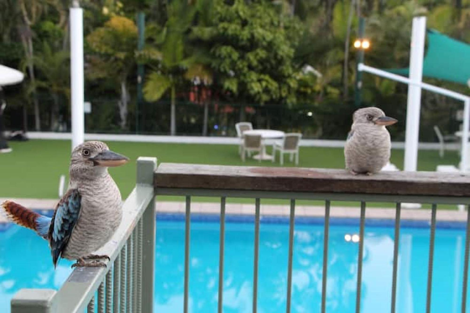 Affordable Island Escape! Queen Studio, Nelly Bay エクステリア 写真
